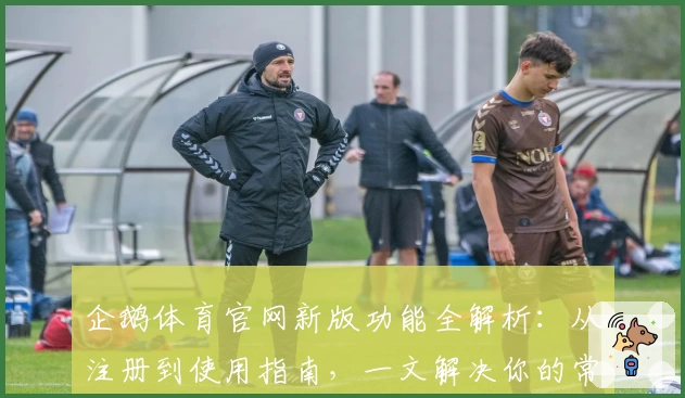 企鹅体育官网新版功能全解析：从注册到使用指南，一文解决你的常见问题