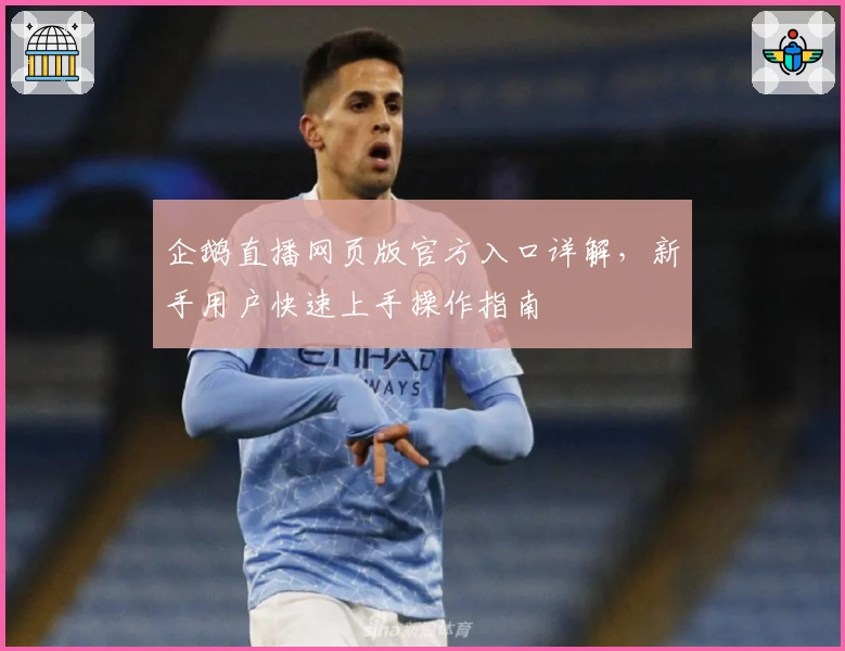 企鹅直播网页版官方入口详解，新手用户快速上手操作指南