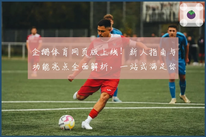 企鹅体育网页版上线！新人指南与功能亮点全面解析，一站式满足你的赛事追踪需求