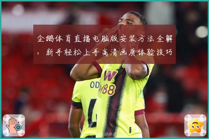 企鹅体育直播电脑版安装方法全解，新手轻松上手高清画质体验技巧