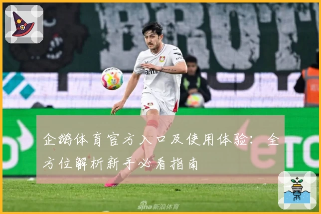 企鹅体育官方入口及使用体验:全方位解析新手必看指南