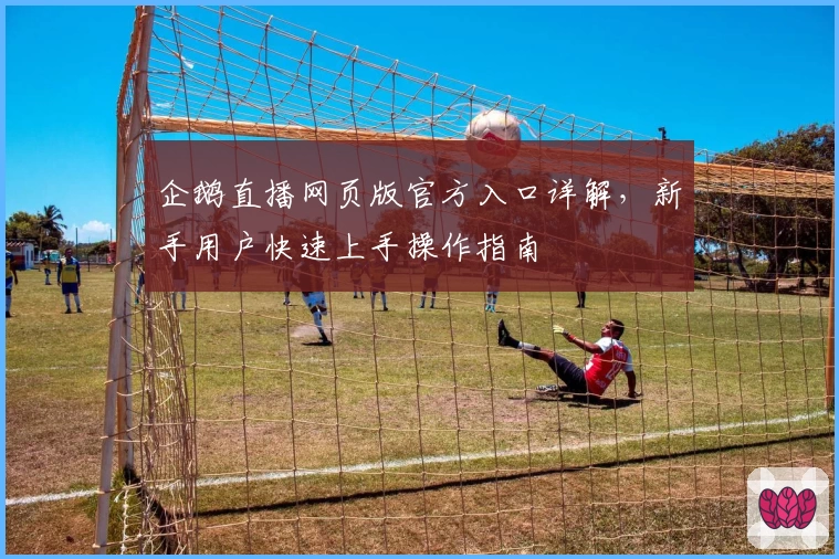 企鹅直播网页版官方入口详解，新手用户快速上手操作指南